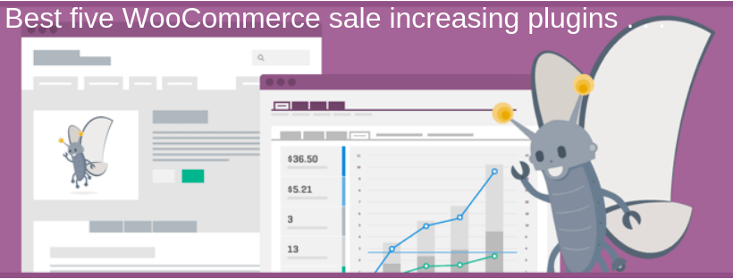 Best five WooCommerce sale increasing plugins