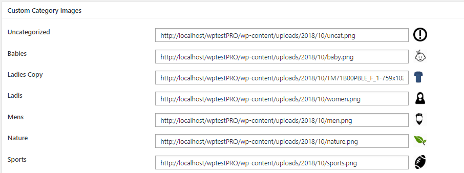 Image illustrates the custom category image setting options offered by Woo-commerce Category Slider PRO